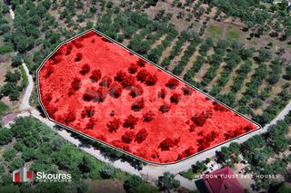 Οικόπεδο 5.194,28 τ.μ. για πώληση