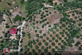 Οικόπεδο 5.194,28 τ.μ. για πώληση, Μεσσηνία, Ιθώμης-thumb-5