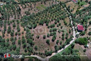Οικόπεδο 5.194,28 τ.μ. για πώληση, Μεσσηνία, Ιθώμης-thumb-14