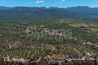 Οικόπεδο 5.194,28 τ.μ. για πώληση, Μεσσηνία, Ιθώμης-thumb-11