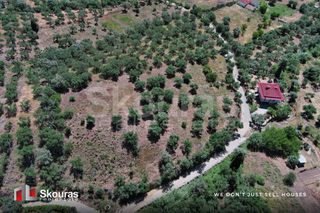 Οικόπεδο 5.194,28 τ.μ. για πώληση, Μεσσηνία, Ιθώμης-thumb-13