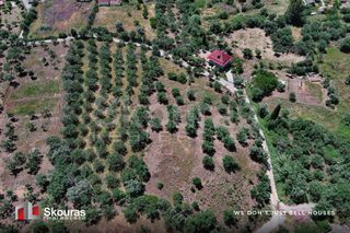 Οικόπεδο 5.194,28 τ.μ. για πώληση, Μεσσηνία, Ιθώμης-thumb-12