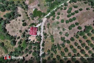Οικόπεδο 5.194,28 τ.μ. για πώληση, Μεσσηνία, Ιθώμης-thumb-3