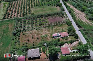 Οικόπεδο 5.194,28 τ.μ. για πώληση, Μεσσηνία, Ιθώμης-thumb-21