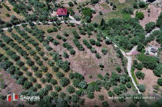 Οικόπεδο 5.194,28 τ.μ. για πώληση, Μεσσηνία, Ιθώμης-thumb-8