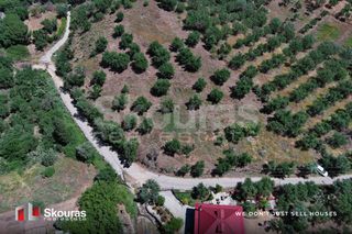 Οικόπεδο 5.194,28 τ.μ. για πώληση, Μεσσηνία, Ιθώμης-thumb-17