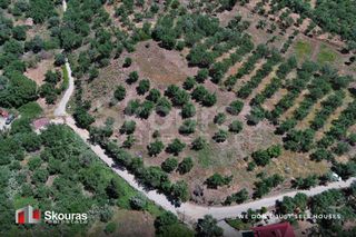 Οικόπεδο 5.194,28 τ.μ. για πώληση, Μεσσηνία, Ιθώμης-thumb-16