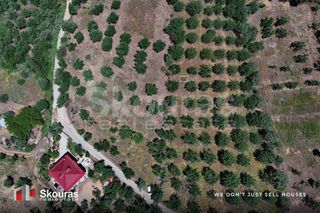 Οικόπεδο 5.194,28 τ.μ. για πώληση, Μεσσηνία, Ιθώμης-thumb-4