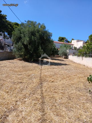 Land plot 500 sqm for sale, Rest Of Attica, Nea Peramos (megalo Pefko)