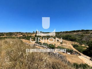 Αγροτεμάχια 10.000 τ.μ. για ενοικίαση