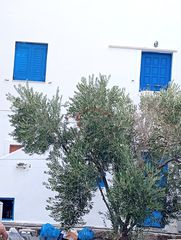 Συγκρότημα διαμερισμάτων 180 τ.μ. προς πώληση, Θήρα-thumb-8