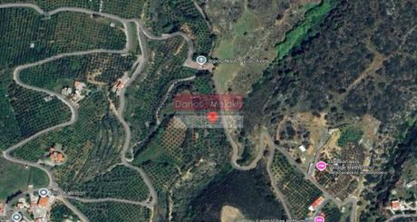 Αγροτεμάχια 6.751 τ.μ. για πώληση