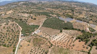 Αγροτεμάχια 59.180 τ.μ. για πώληση, Αργολίδα, Κρανίδι-thumb-18