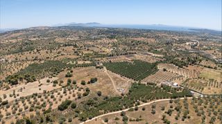 Αγροτεμάχια 59.180 τ.μ. για πώληση, Αργολίδα, Κρανίδι-thumb-12
