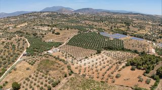 Αγροτεμάχια 59.180 τ.μ. για πώληση, Αργολίδα, Κρανίδι-thumb-23