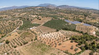 Αγροτεμάχια 59.180 τ.μ. για πώληση, Αργολίδα, Κρανίδι-thumb-24