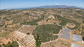 Αγροτεμάχια 59.180 τ.μ. για πώληση, Αργολίδα, Κρανίδι-thumb-13
