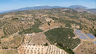 Αγροτεμάχια 59.180 τ.μ. για πώληση, Αργολίδα, Κρανίδι-thumb-7