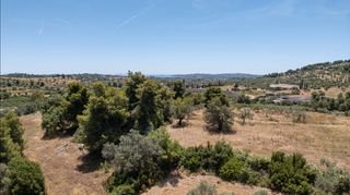 Αγροτεμάχια 59.180 τ.μ. για πώληση, Αργολίδα, Κρανίδι-thumb-4