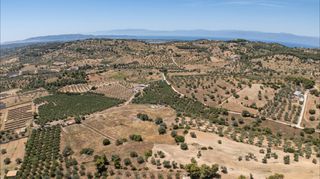 Αγροτεμάχια 59.180 τ.μ. για πώληση, Αργολίδα, Κρανίδι-thumb-16