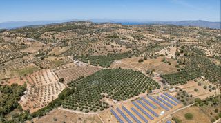 Αγροτεμάχια 59.180 τ.μ. για πώληση, Αργολίδα, Κρανίδι-thumb-19