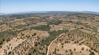 Αγροτεμάχια 59.180 τ.μ. για πώληση, Αργολίδα, Κρανίδι-thumb-10