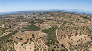 Αγροτεμάχια 59.180 τ.μ. για πώληση