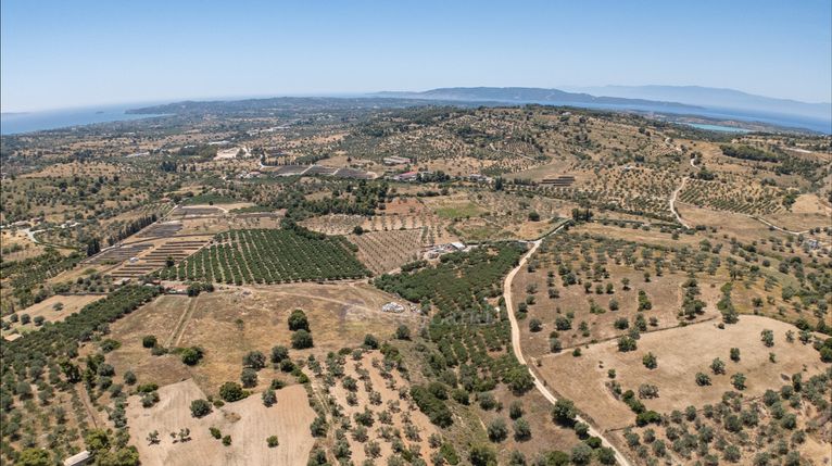 Αγροτεμάχια 59.180 τ.μ. για πώληση, Αργολίδα, Κρανίδι