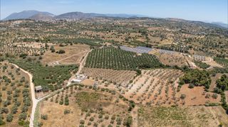Αγροτεμάχια 59.180 τ.μ. για πώληση, Αργολίδα, Κρανίδι-thumb-22