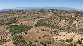 Αγροτεμάχια 59.180 τ.μ. για πώληση, Αργολίδα, Κρανίδι-thumb-8