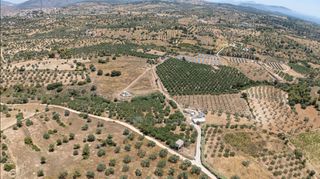 Αγροτεμάχια 59.180 τ.μ. για πώληση, Αργολίδα, Κρανίδι-thumb-17