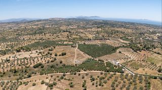 Αγροτεμάχια 59.180 τ.μ. για πώληση, Αργολίδα, Κρανίδι-thumb-14