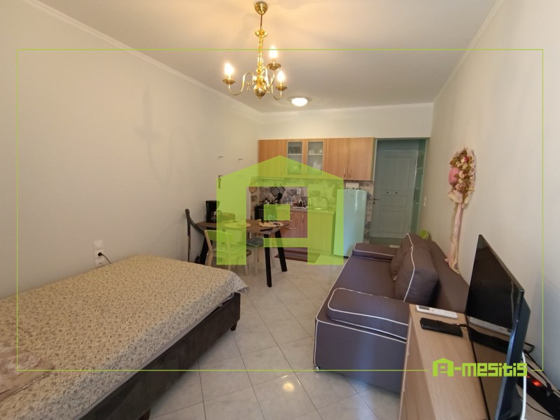 Studio / γκαρσονιέρα 30 τ.μ. προς ενοικίαση, Ζαρουχλέικα