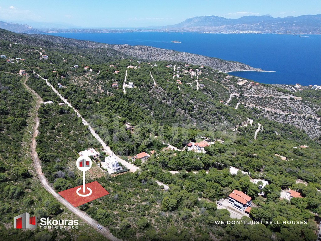 Οικόπεδο 1.000 τ.μ. προς πώληση, Πευκάλι