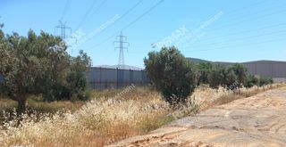 Οικόπεδο 2.238 τ.μ. πρός ενοικίαση, Αττική - Υπόλοιπο, Μαρκόπουλο-thumb-7