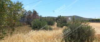 Οικόπεδο 2.238 τ.μ. πρός ενοικίαση, Αττική - Υπόλοιπο, Μαρκόπουλο-thumb-14