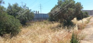 Οικόπεδο 2.238 τ.μ. πρός ενοικίαση, Αττική - Υπόλοιπο, Μαρκόπουλο-thumb-11