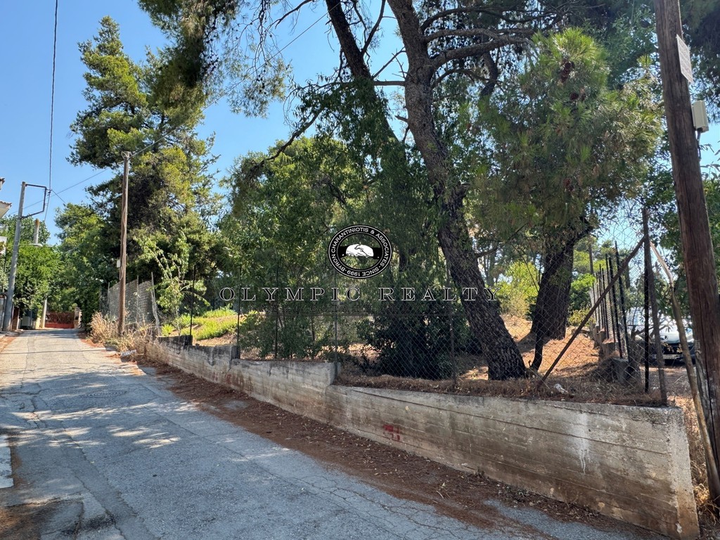 Οικόπεδο 544 τ.μ. πρός πώληση, Αθήνα - Βόρεια Προάστια, Άγιος Στέφανος