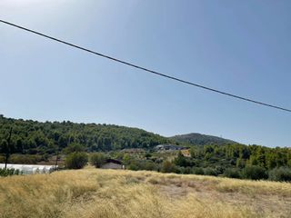 Οικόπεδο 2.000 τ.μ. για πώληση