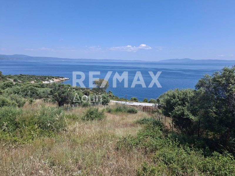 Οικόπεδο 557 τ.μ. πρός πώληση, Μαγνησία, Βόλος