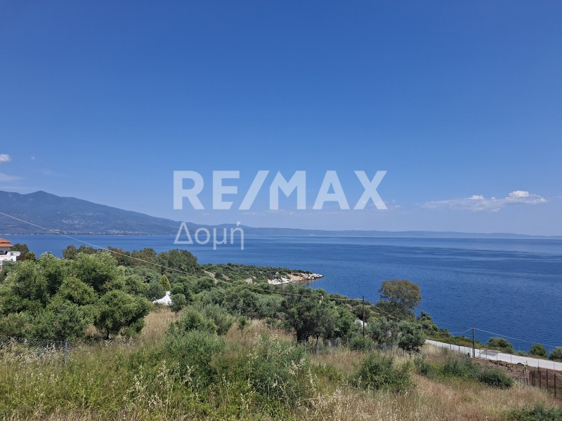 Οικόπεδο 557 τ.μ. πρός πώληση, Μαγνησία, Βόλος