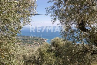 Οικόπεδο 965 τ.μ. για πώληση, Μαγνησία, Μηλιές-thumb-8