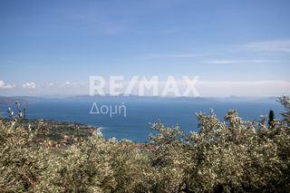 Οικόπεδο 965 τ.μ. για πώληση, Μαγνησία, Μηλιές-thumb-5