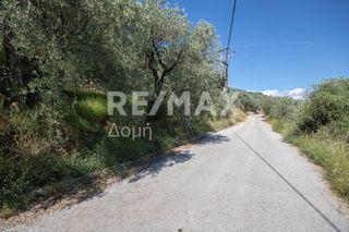 Οικόπεδο 965 τ.μ. για πώληση, Μαγνησία, Μηλιές-thumb-16