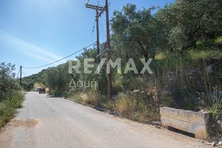 Οικόπεδο 965 τ.μ. για πώληση, Μαγνησία, Μηλιές-thumb-21