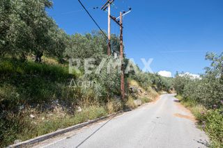 Οικόπεδο 965 τ.μ. για πώληση, Μαγνησία, Μηλιές-thumb-1