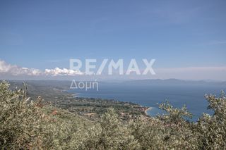 Οικόπεδο 965 τ.μ. για πώληση, Μαγνησία, Μηλιές-thumb-15