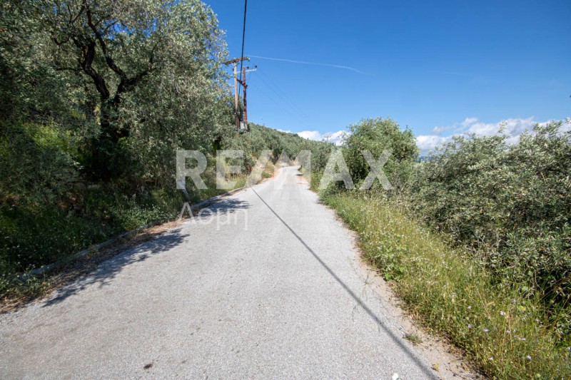 Οικόπεδο 965 τ.μ. πρός πώληση, Μαγνησία, Μηλιές