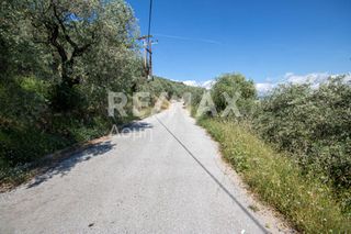 Οικόπεδο 965 τ.μ. για πώληση, Μαγνησία, Μηλιές-thumb-4
