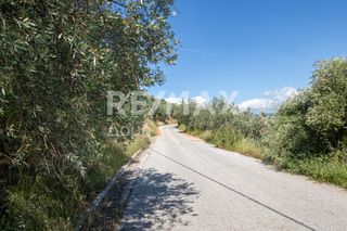 Οικόπεδο 965 τ.μ. για πώληση, Μαγνησία, Μηλιές-thumb-3